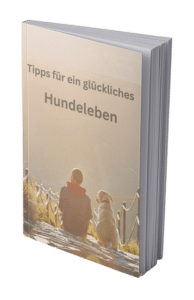 Tipps für Hundebesitzer1